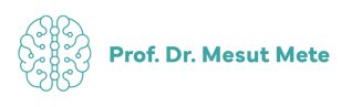 Prof. Dr. Mesut METE
